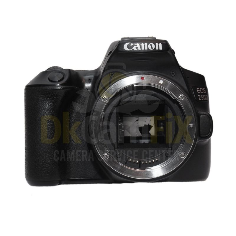 Canon EOS 250D